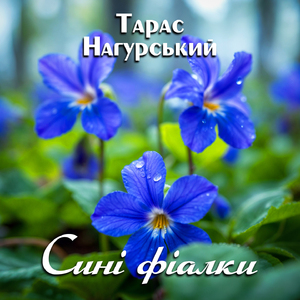 Сині фіалки