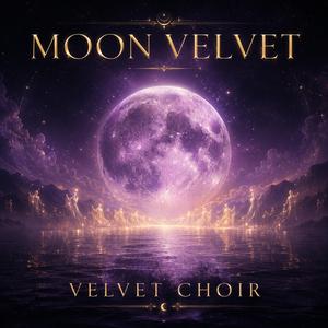 Velvet Choir