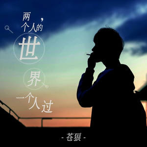 两个人的世界一个人过 (DJ版)