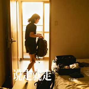 说走就走