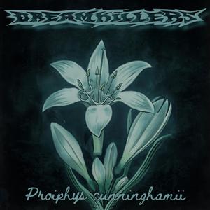 Close Down The Circus