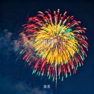 不同 (Cover Nickialynn)