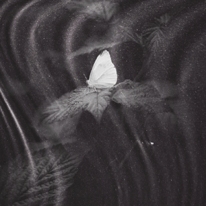 Suab Raj Nplaim Kho Siab (Nco Koj)