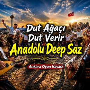 Dut Ağaçı Dut Verir