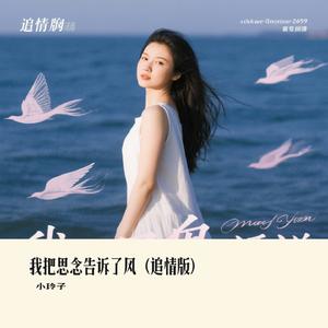 我把思念告诉了风（追情版）