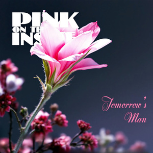 Pink on the Inside (single remix)