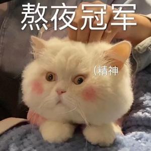 熬夜上瘾