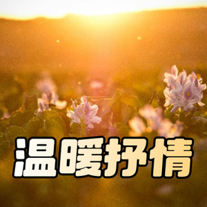 温暖抒情的旋律