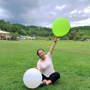 白发里的春天_Liu忙兔