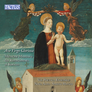Salve Regina, 1703:in D Minor (1703 Version) [Arr. for Choir & Basso continuo]