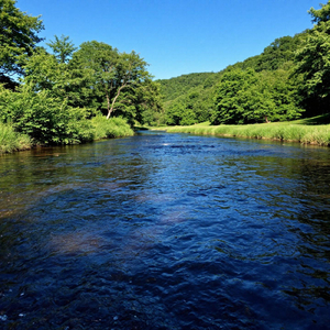 水面のささやき