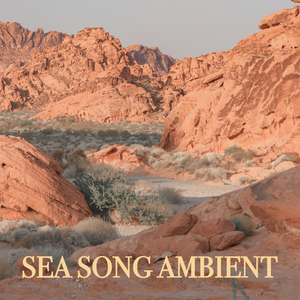 Riprenderemo Il Discorso