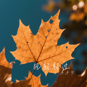 风轻轻过