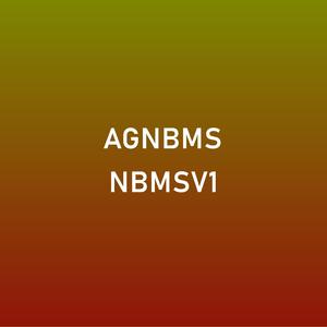 AG.NBMS[VII], Vol. I