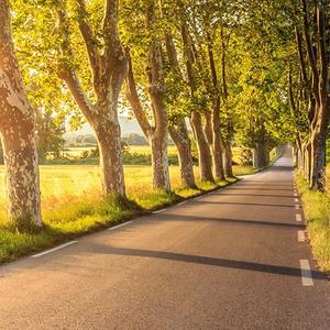 诗人莫把红颜醉