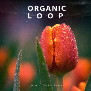 Deep Loop (Exended Dub Mix)