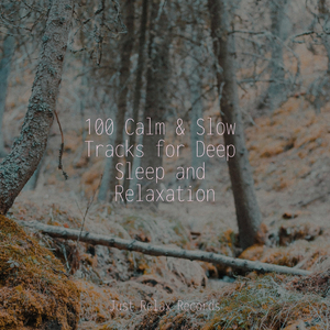 Phantasmic Memory Trail