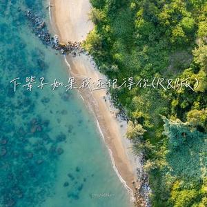 下辈子如果我还记得你 (R&B版)
