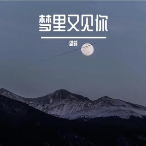 梦里