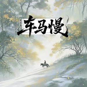 车马慢 (DJ枯枝版伴奏)