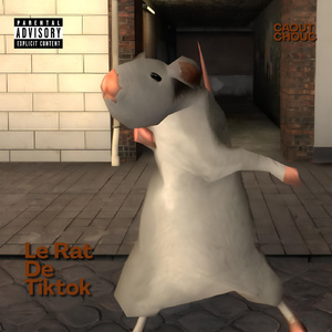 Le Rat De Tiktok