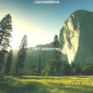 诗意的面部按摩节奏