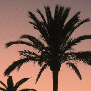 橘子皮.wav（翻自 罗言）