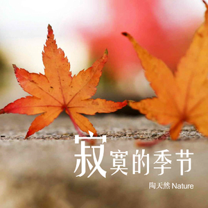 寂寞的季节（Cover 陶喆）