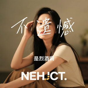 不遗憾