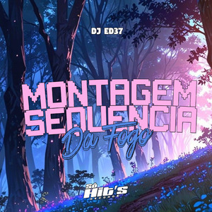 Montagem Sequencia da Fogo