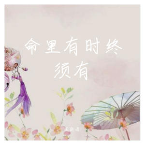 命里有时终须有指弹