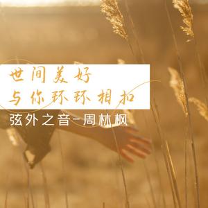 世间美好与你环环相扣 (DJ版)