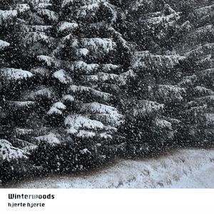 Winterwoods