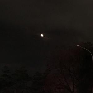 the day before i goͧ