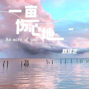 一亩伤心地(DJ默涵版)