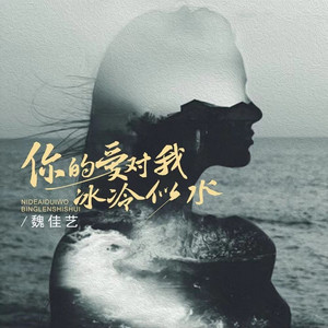 你的爱对我冰冷似水 (DJBanan版)