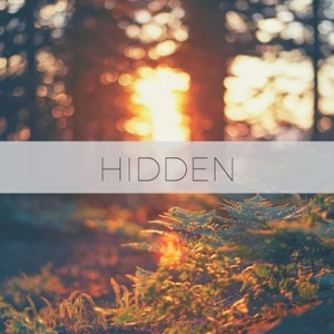 Hidden