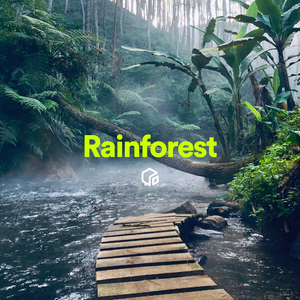 Stream Water Dripping with Birds in Forest (Loopable With No Fade)