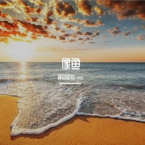 王贰浪-像鱼（女版）