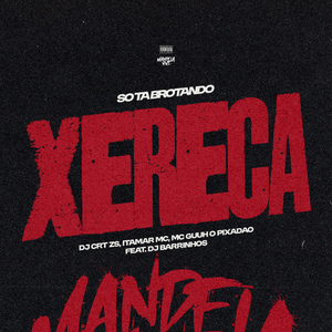 So Ta Brotando Xereca (feat. DJ Barrinhos)