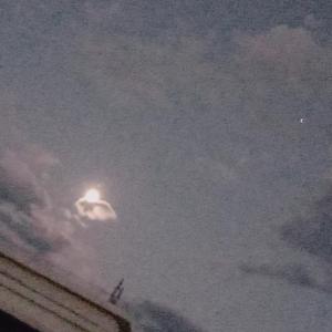 宁夏（翻唱 温柔）