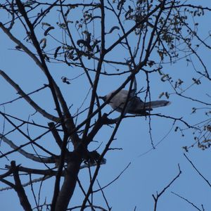 聊不完的天与牵不到的手