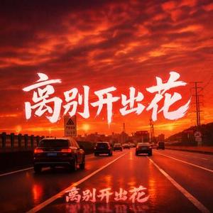 离别开出花 (阿旦 Remix)