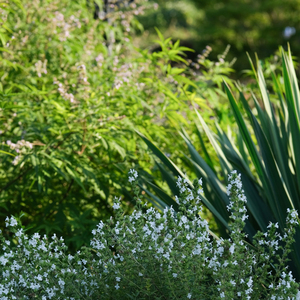 하염없이 바라만 보다