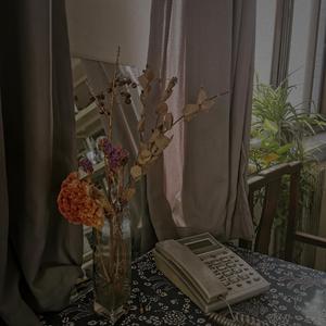 抱 歉 这 是 我 想 你 的 最 后 一 次