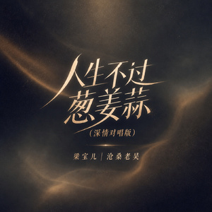 人生不过葱姜蒜(深情对唱版)
