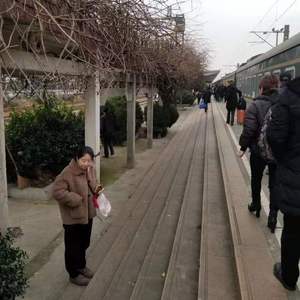 每天都这样活着