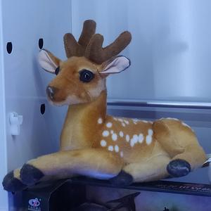 说爱你（翻自 小璐）