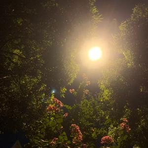 这儿【Prod by venkey】