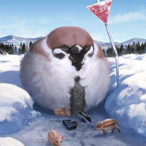 蝶蛹——记程蝶衣（Cover 银临）